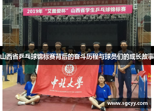 山西省乒乓球锦标赛背后的奋斗历程与球员们的成长故事
