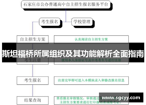 斯坦福桥所属组织及其功能解析全面指南