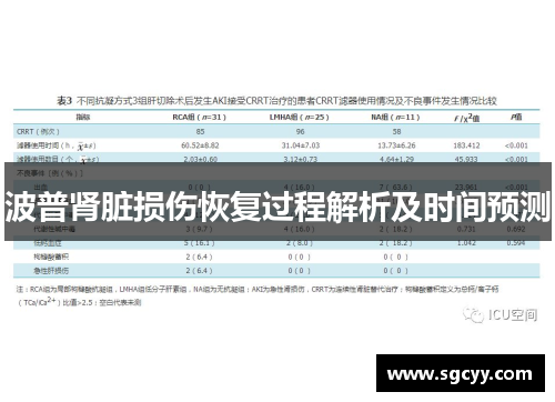 波普肾脏损伤恢复过程解析及时间预测